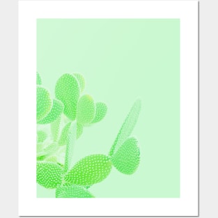 Opuntia Mint Posters and Art